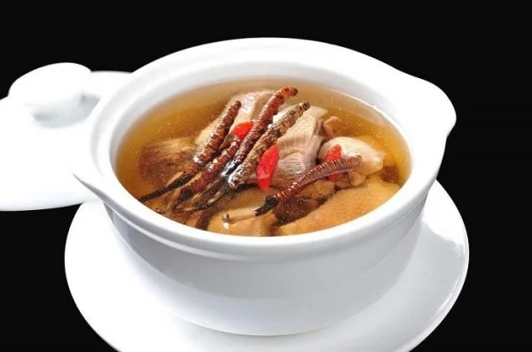 Lưu ý khi nào không nên uống đông trùng hạ thảo? Dùng lúc nào tốt nhất?