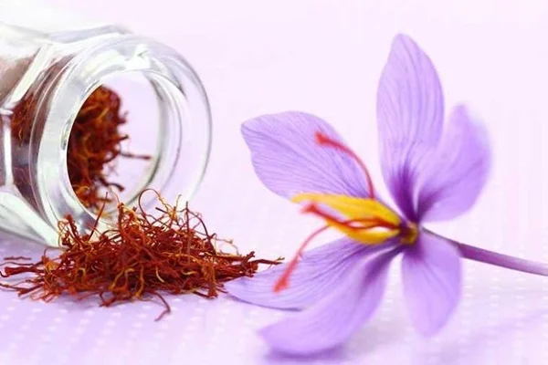 Nhụy hoa nghệ tây có tốt không? Những lưu ý khi sử dụng sản phẩm