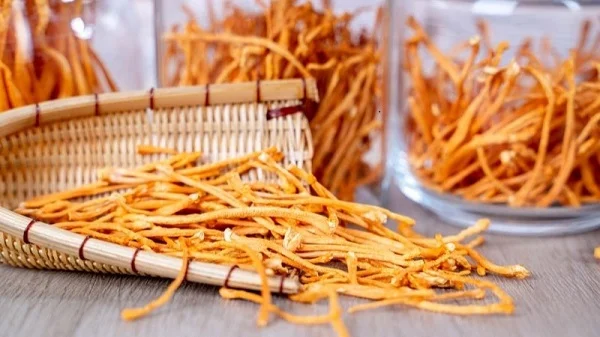 Những tác dụng của đông trùng hạ thảo với người già