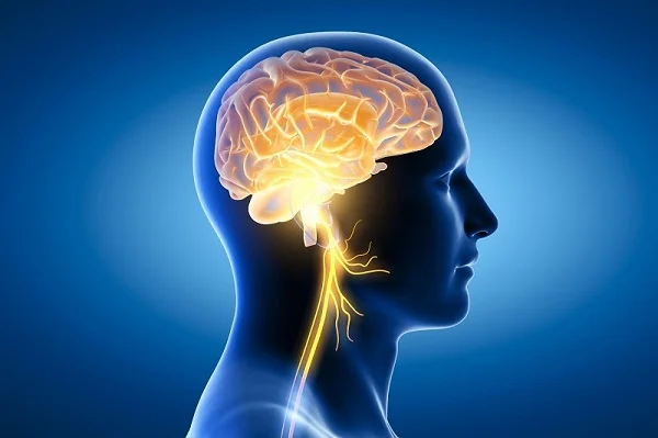Top 8+ Tác dụng của đông trùng hạ thảo với nam giới
