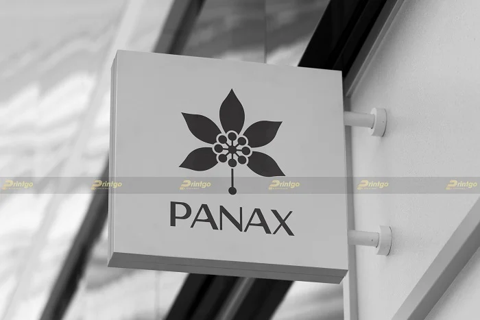 [Branding] Thiết kế bộ nhận diện thương hiệu cho thương hiệu sâm Panax cao cấp