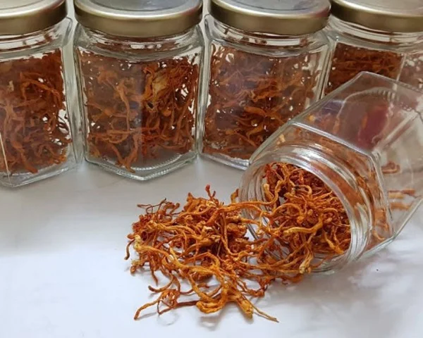Cách bảo quản đông trùng hạ thảo khô để kéo dài thời gian sử dụng