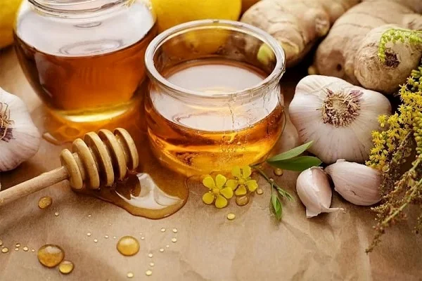 Cách bảo quản đông trùng hạ thảo khô để kéo dài thời gian sử dụng