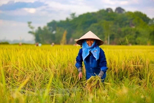 Tổng hợp chi tết các ngày lễ tháng 10