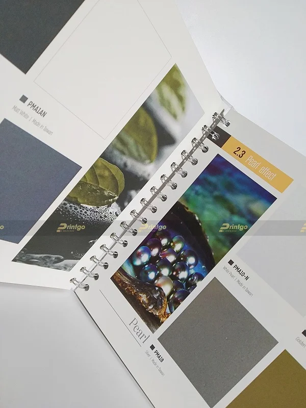 PMA và Printgo: In catalogue sáng tạo làm công cụ quảng bá thương hiệu