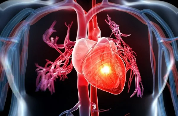Những tác dụng của đông trùng hạ thảo với phụ nữ có thể bạn chưa biết