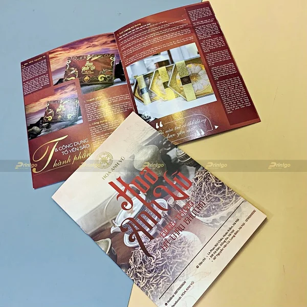 Hoa Anh Vũ là Printgo: In catalogue yến sào và đông trùng hạ thảo quảng bá thương hiệu cao cấp