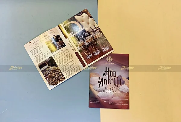 Hoa Anh Vũ là Printgo: In catalogue yến sào và đông trùng hạ thảo quảng bá thương hiệu cao cấp