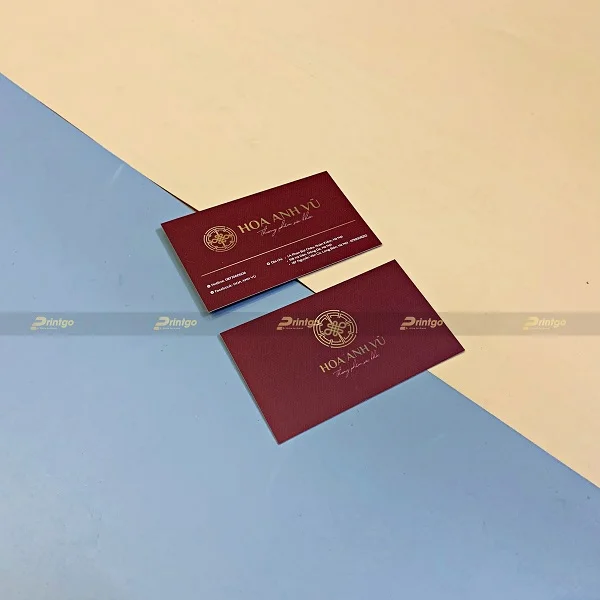 Hoa Anh Vũ là Printgo: In catalogue yến sào và đông trùng hạ thảo quảng bá thương hiệu cao cấp