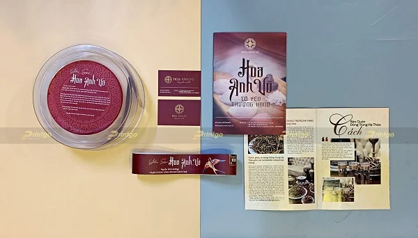 Hoa Anh Vũ là Printgo: In catalogue yến sào và đông trùng hạ thảo quảng bá thương hiệu cao cấp