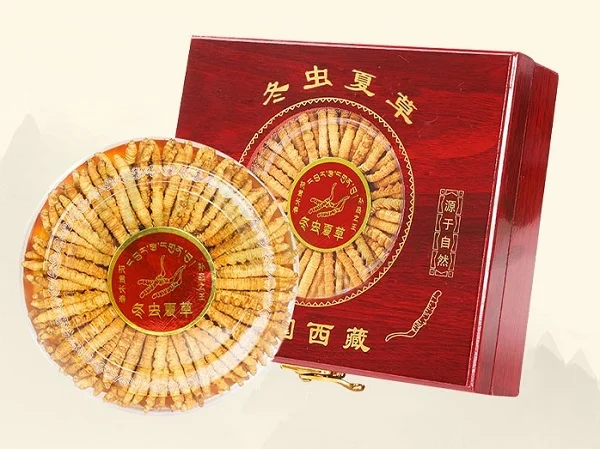 Tổng hợp các mẫu lọ đựng đông trùng hạ thảo mới lạ nhất 2022