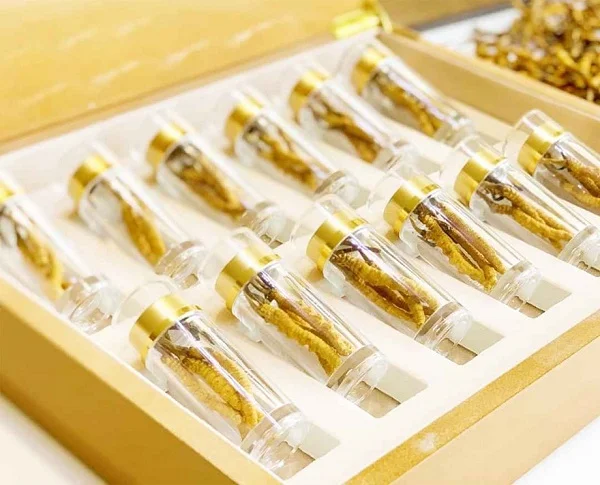 Tổng hợp các mẫu lọ đựng đông trùng hạ thảo mới lạ nhất 2022