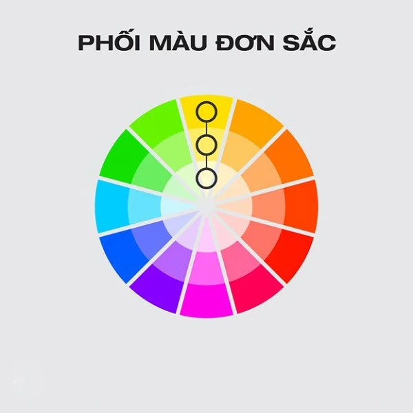 Hé lộ 6 nguyên tắc phối màu cơ bản trong thiết kế mà dân designer cần biết