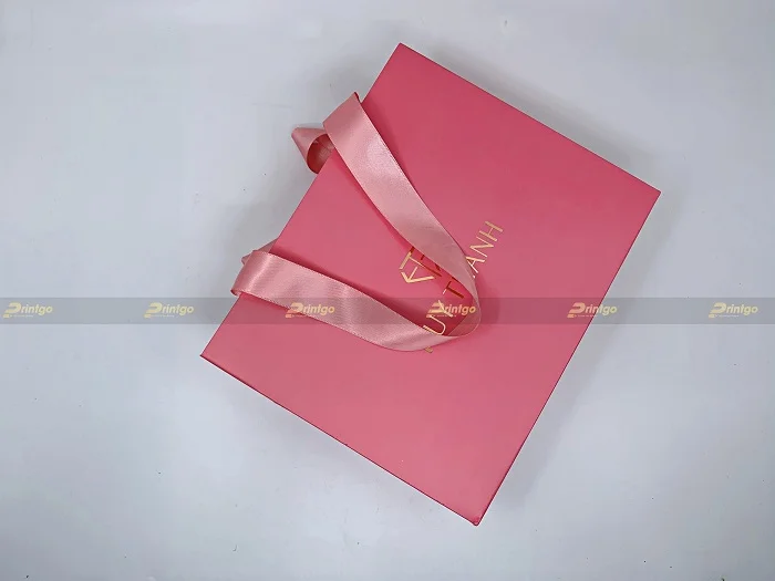 Mẫu túi giấy quai lụa đẹp