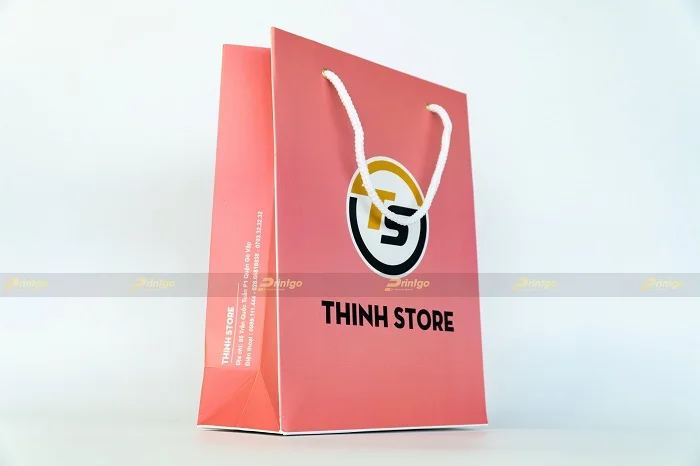 Mẫu túi giấy đựng quà đơn giản, đẹp