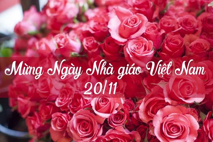 Các lời chúc tặng crush nhân ngày nhà giáo Việt Nam 20 11 ý nghĩa nhất