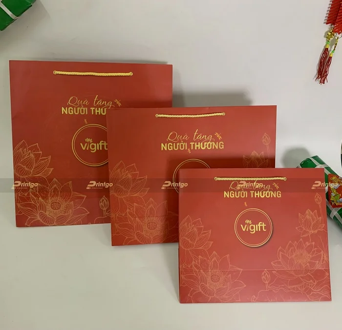Bộ túi giấy đựng hộp quà tết của Vigift