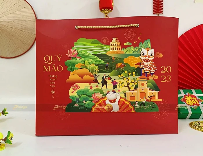 Túi giấy hộp quà tết thương hiệu VN Gift