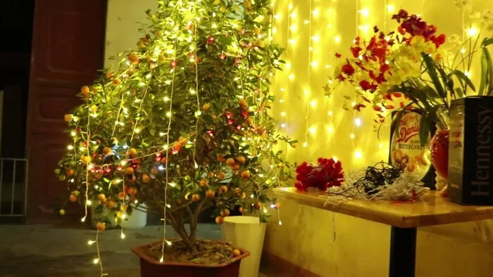 Đèn nháy là phụ kiện không thể thiếu khi trang trí Tết