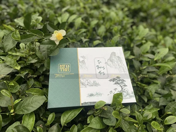 Kim Trà và Printgo: Xây dựng bộ nhận diện thương hiệu cho thương hiệu trà cao cấp