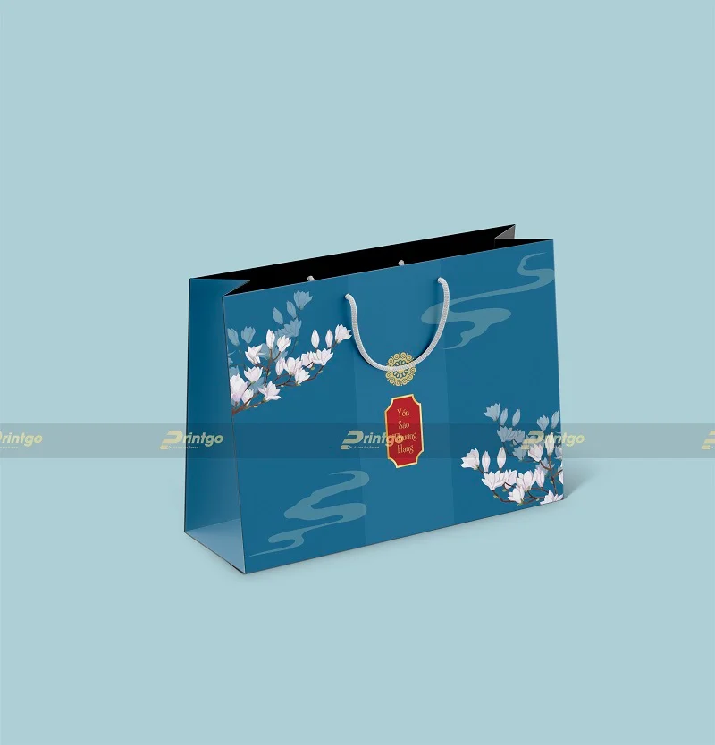 Túi giấy đựng hộp yến sào Nam Phương Tiền Giang