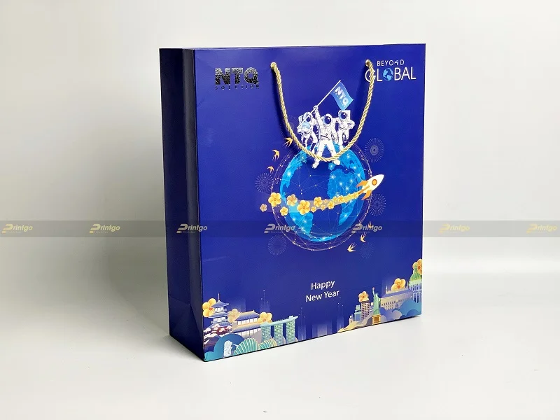 Túi giấy hộp quà tết NTQ Solution