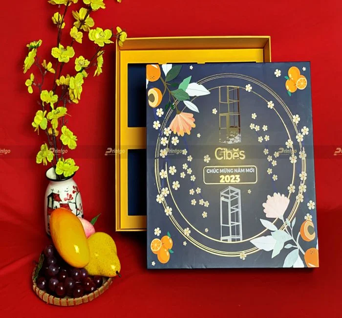 phan loai hop giay 10 1676947461