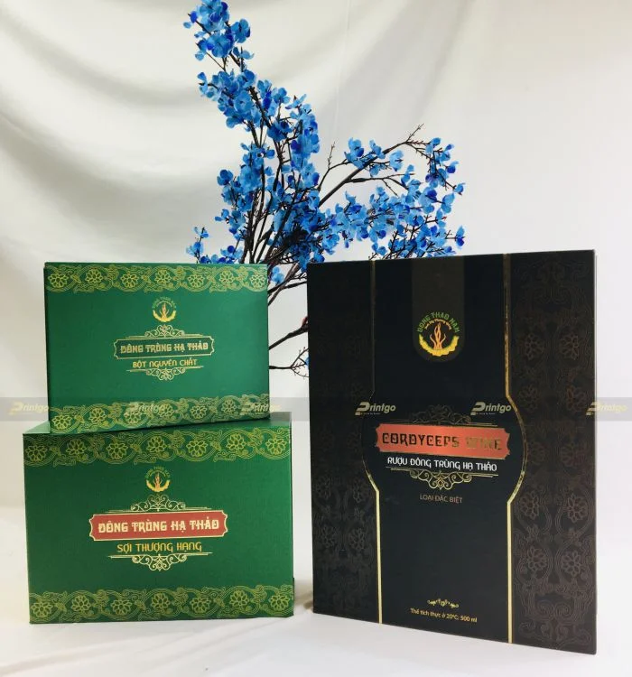 phan loai hop giay 1 1676947560