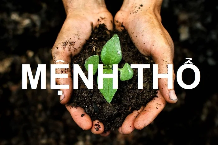 Mệnh Thổ hợp màu gì? Bí quyết chọn màu sắc thiết kế logo cho người mệnh Thổ