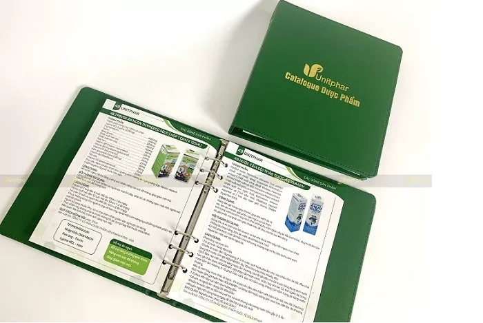 Thiết kế của Catalogue hiện đại và lịch sự.
