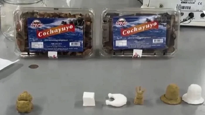 Tảo được cho vào máy in 3D và tạo ra các hình thù hoạt hình độc đáo như khủng long, Pikachu…