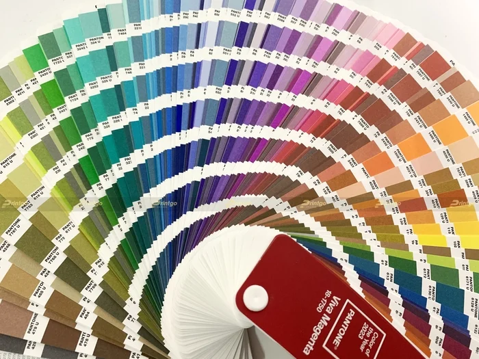 Có nhiều tiêu chí phân loại bộ mã Pantone