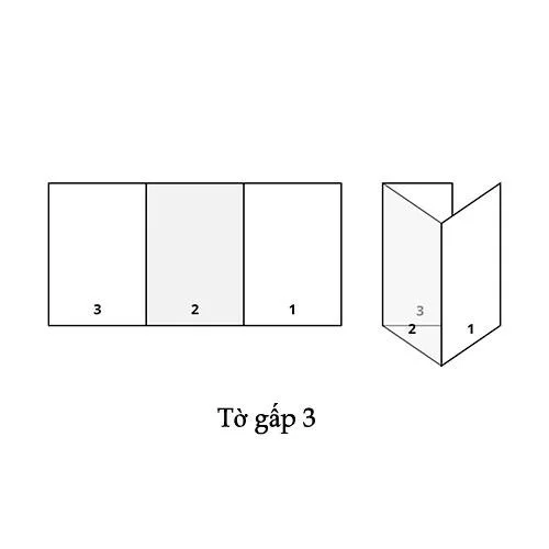 Tờ gấp 3 (Trifold Brochure)