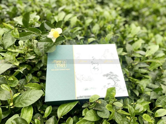 Hộp cứng đựng trà đẹp