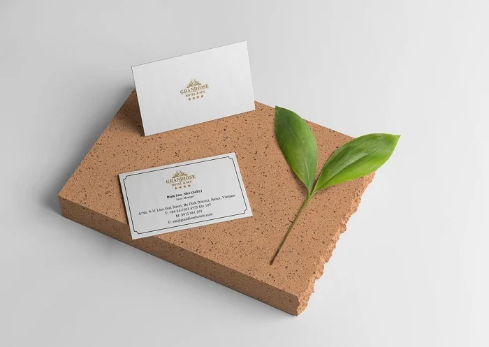Thiết kế card màu trắng tinh tế