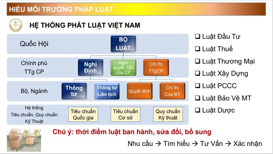 Tìm hiểu môi trường pháp luật