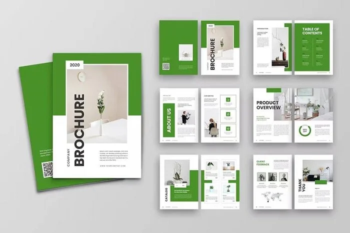 Mẫu brochure thiết kế tinh tế.