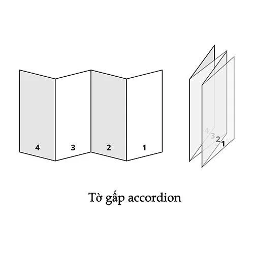 Tờ gấp Accordion
