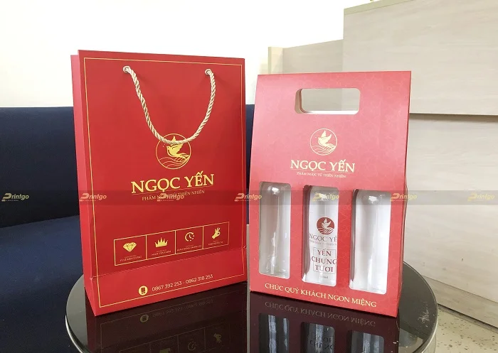 Hai mẫu túi của Ngọc Yến