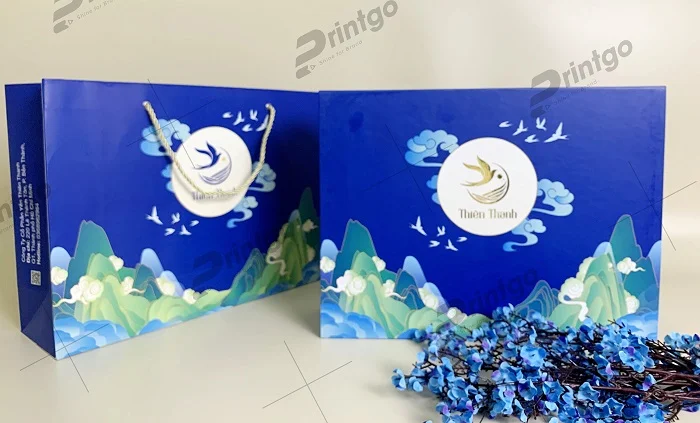 Túi và hộp cứng