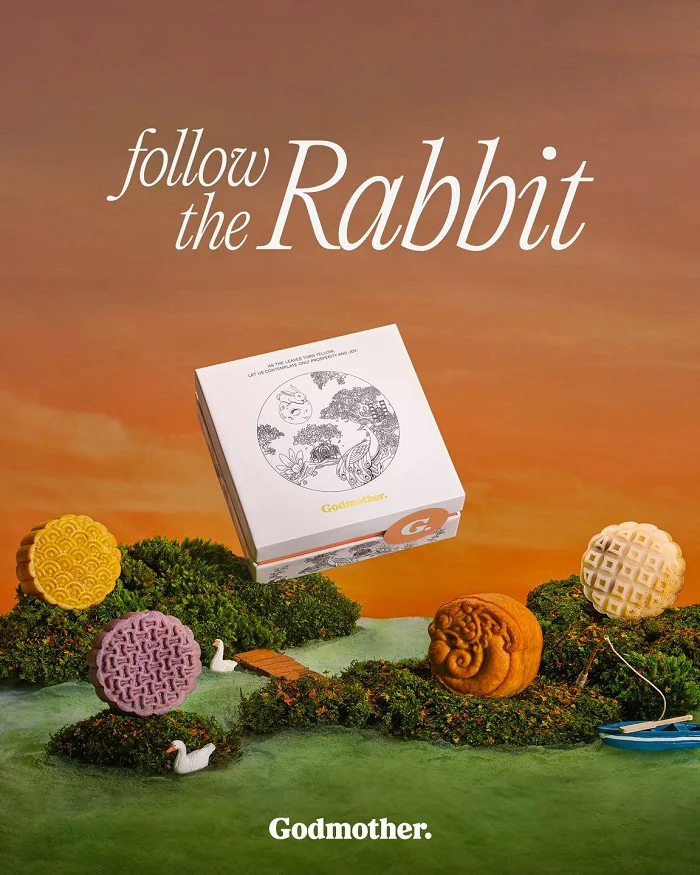 Dự án "FOLLOW THE RABBIT"