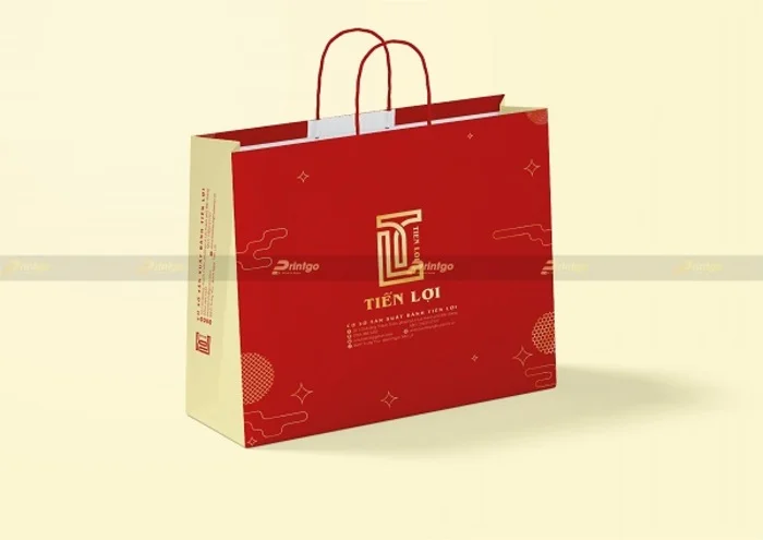 chang duong dong hanh cua printgo va tien loi 11 1694591710
