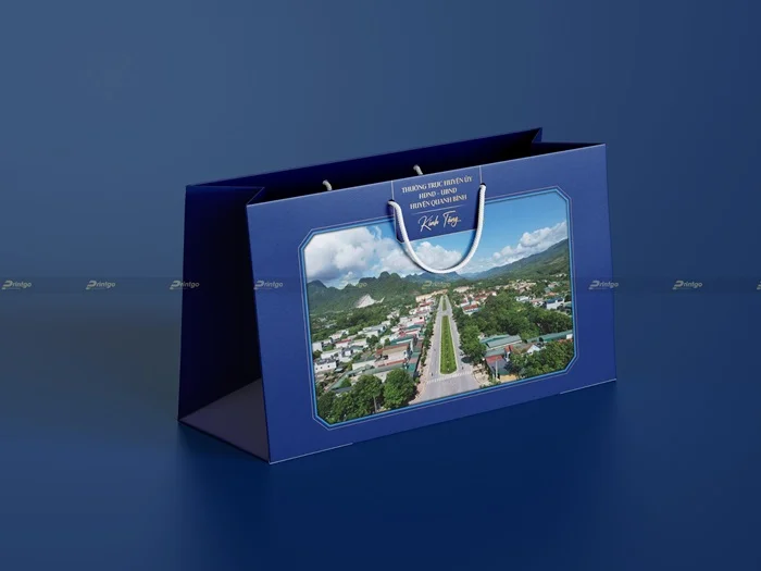 Túi giấy cao cấp