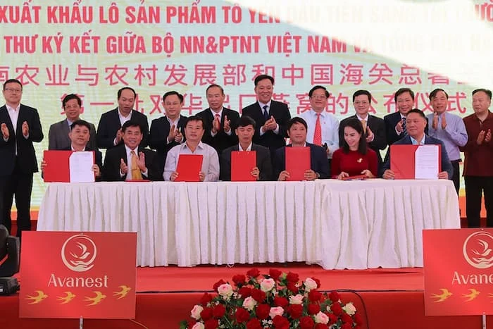 Dấu mốc nổi bật: Việt Nam chinh phục thị trường Trung Quốc với lô sản phẩm tổ yến đầu tiên