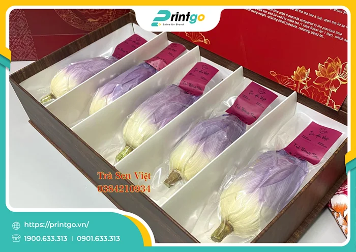 Khay định hình chắc chắn