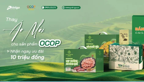 SIÊU ƯU ĐÃI: IN BAO BÌ OCOP NHẬN NGAY GÓI THIẾT KẾ LÊN TỚI 10 TRIỆU ĐỒNG