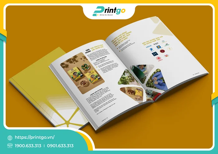 Catalogue bản Việt