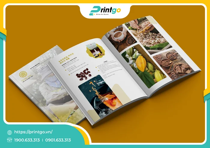 Catalogue bản Hàn