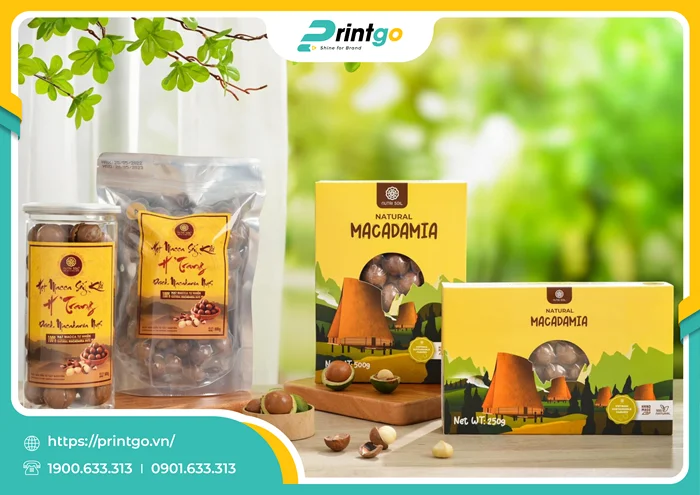 Hạt Macca Đắk Lắk