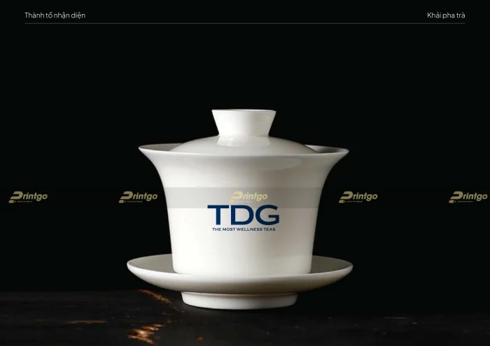 Thiết kế bộ nhận diện thương hiệu TDG phá cách tạo nét độc đáo